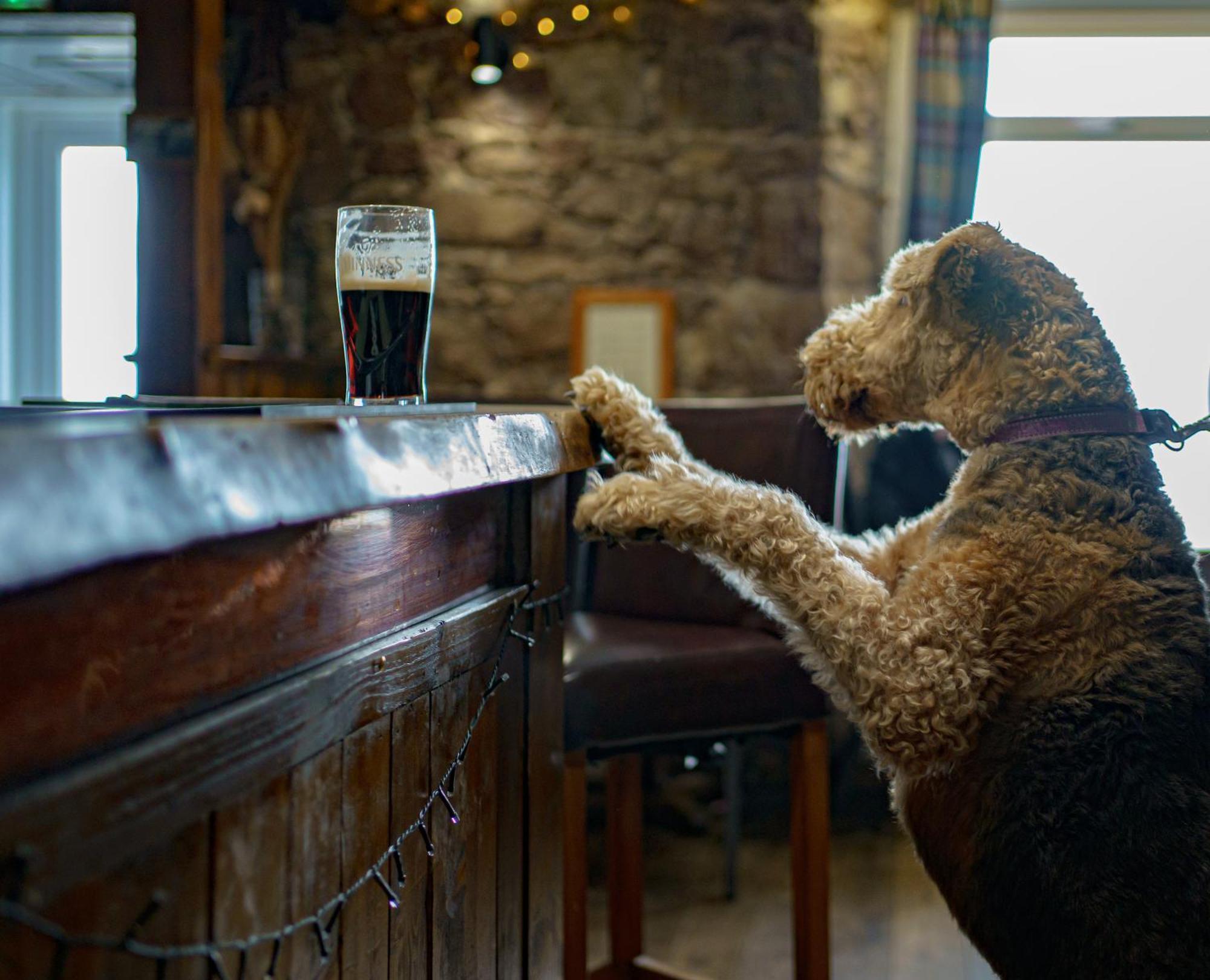 Oyster Inn Connel Oban Dış mekan fotoğraf