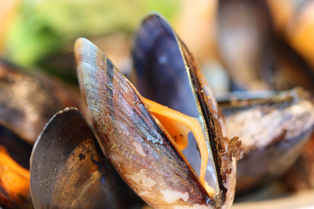 Oyster Inn Connel Oban Dış mekan fotoğraf