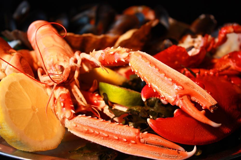 Oyster Inn Connel Oban Dış mekan fotoğraf